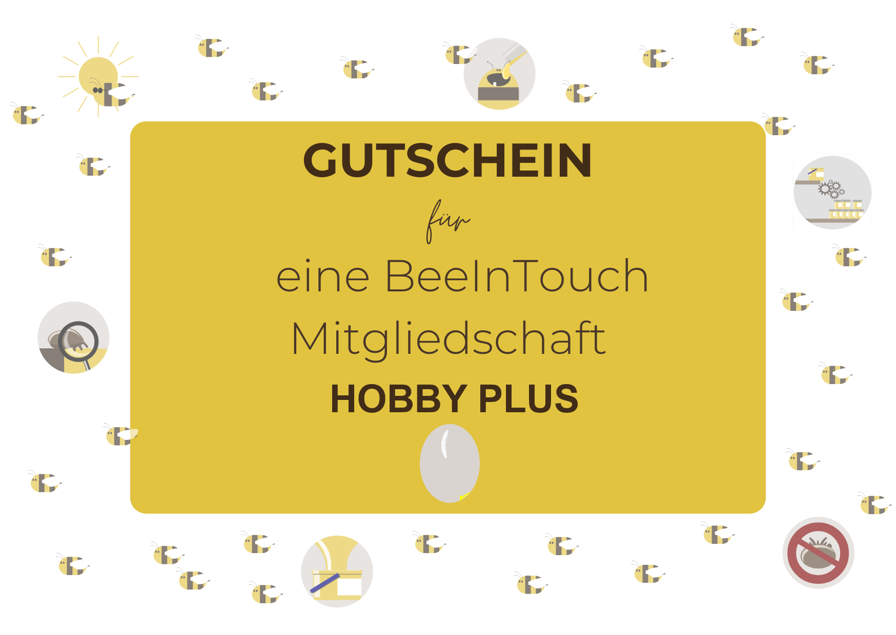 Gutschein BeeInTouch - 1 Jahr Hobby Plus